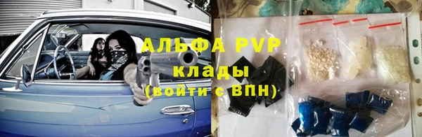 молекула духа Бородино