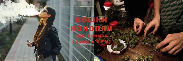 молекула духа Бородино