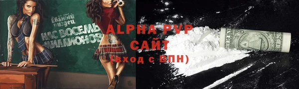 молекула духа Бородино