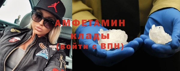 молекула духа Бородино