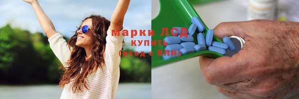 молекула духа Бородино