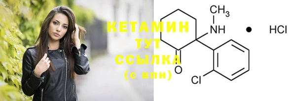 молекула духа Бородино