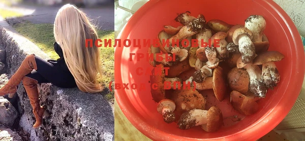 прущие крисы Бронницы