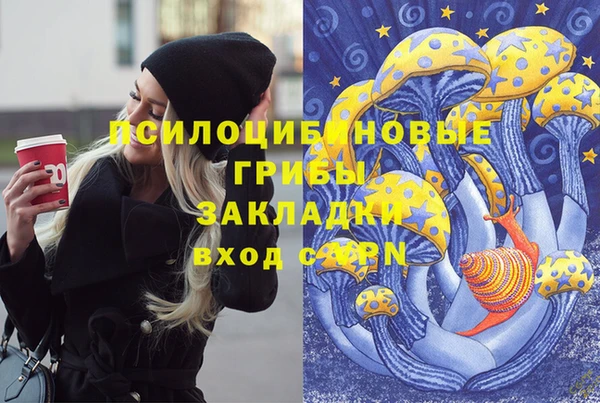 прущие крисы Бронницы