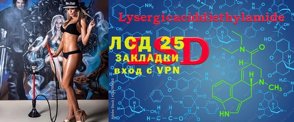 молекула духа Бородино