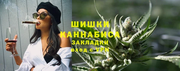 молекула духа Бородино