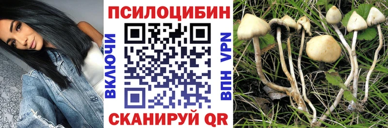 Псилоцибиновые грибы прущие грибы darknet как зайти Вуктыл